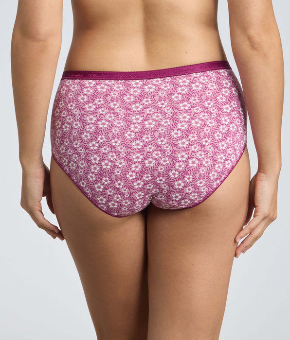 Playtex® Pack of 3 midi knickers in pomegranate, purple and purple floral print Organic Cotton